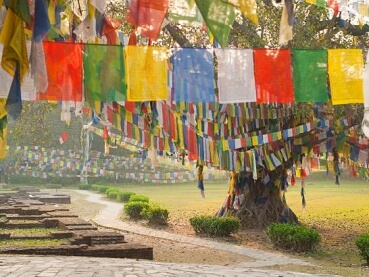 Lumbini Tour: Explore the Birthplace of Lord Buddha